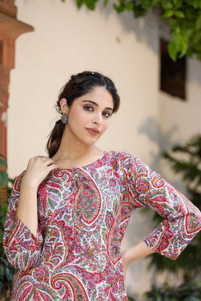 Indian Multicolor cotton co-ord set - Image 3